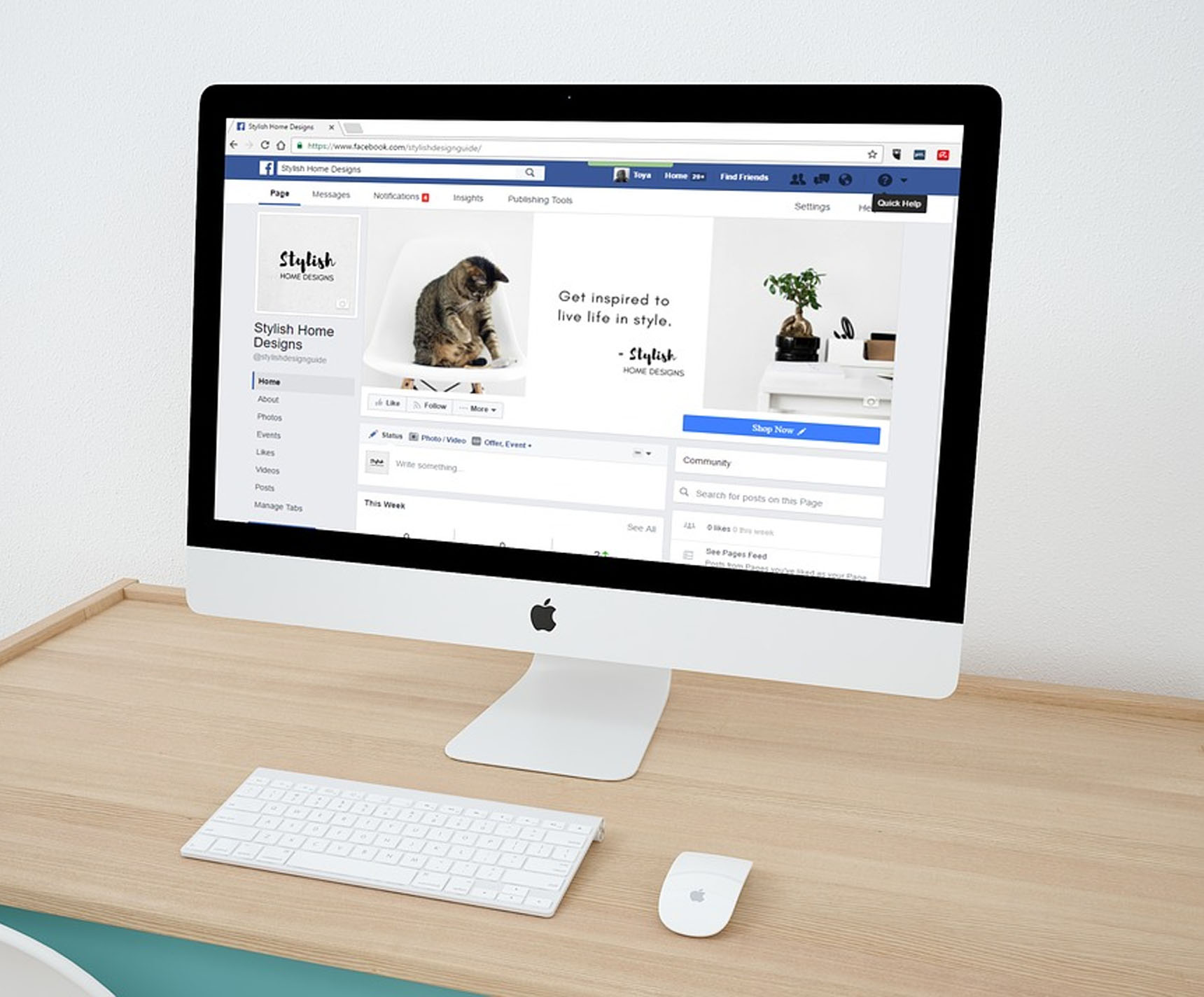 CAMPAÑAS DE ANUNCIOS (Facebook Ads y Google Ads)